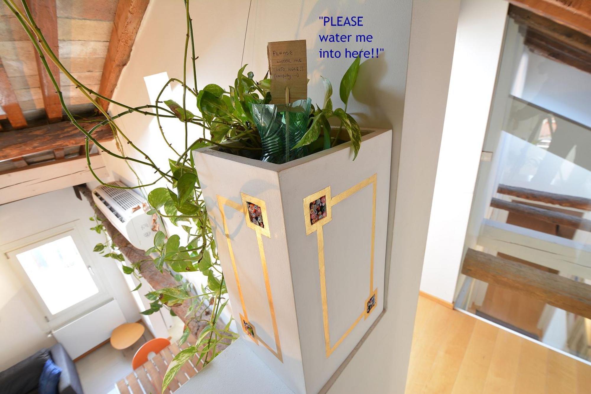 Apartamento Dandolo-terrace *